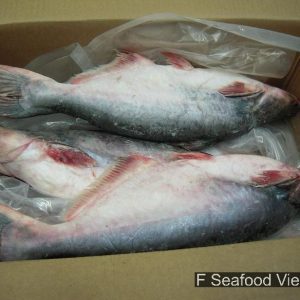 Frozen Pangasius whole round packed in export carton from Vietnam.