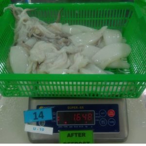Frozen whole cleaned squid (Loligo spp.) from Vietnam, bulk packed for export