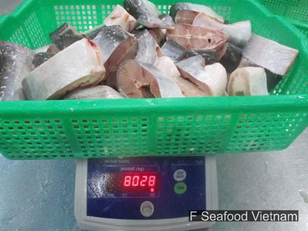 Frozen Pangasius steak being weighed for inspection before container loading