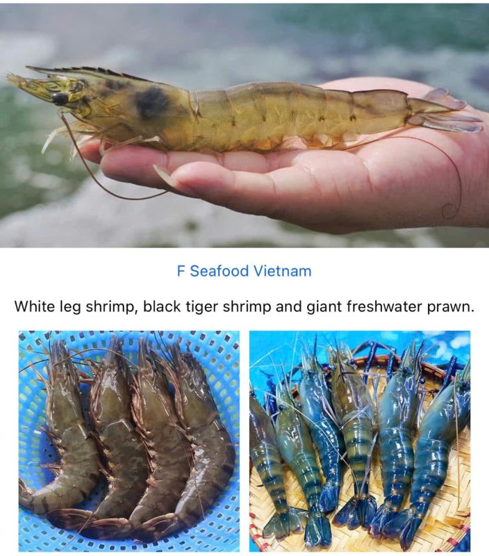 vannamei shrimp, black tigher shrimp and freshwater shrimp