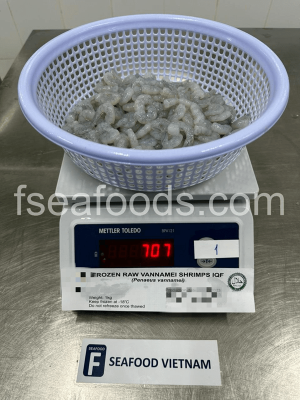 QC test of the shrimp order before export to Asia