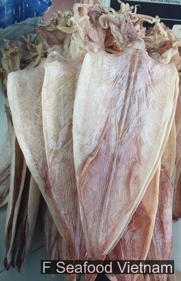 Dried squid from Vietnam - F Seafood exporter