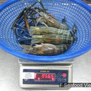 Frozen freshwater prawns (Macrobrachium rosenbergii) during inspection by F Seafood Vietnam – export quality IQF and block packing.