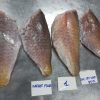 Frozen parrotfish fillet Vietnam exporter - F Seafood.