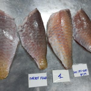 Frozen parrotfish fillet Vietnam exporter - F Seafood.
