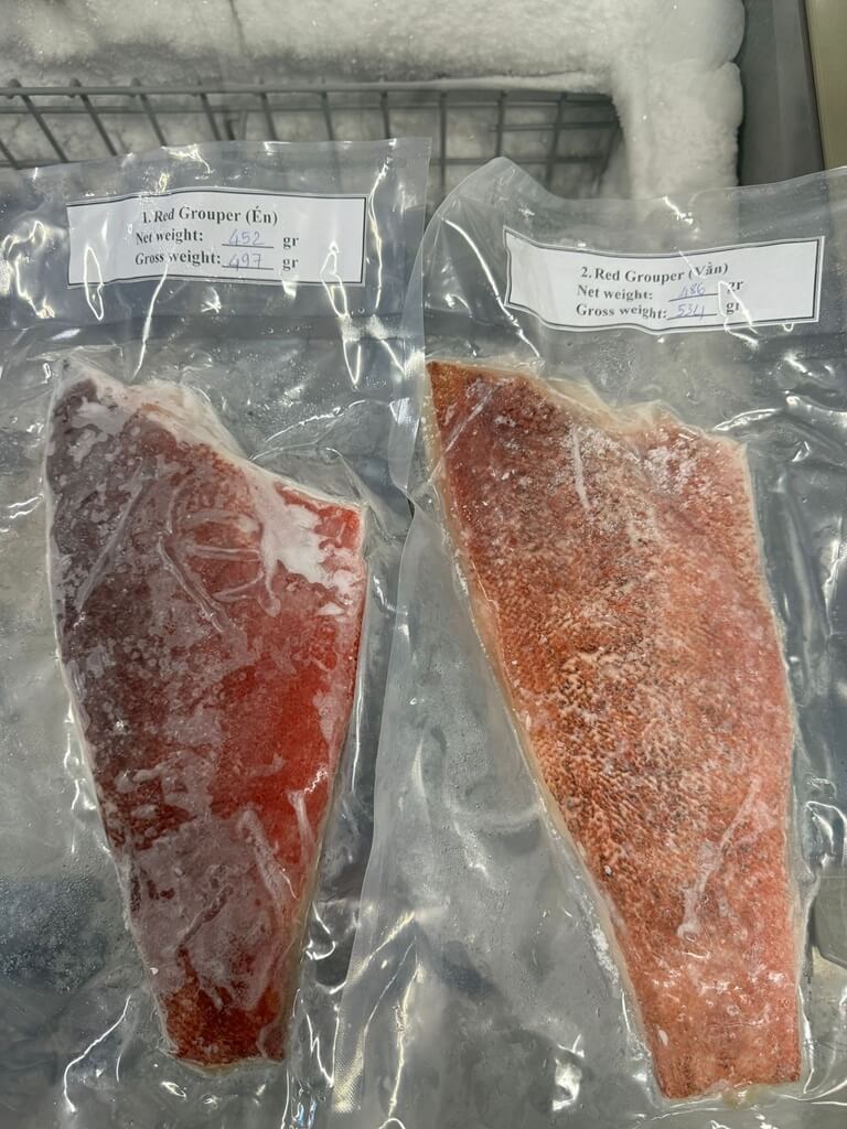 Frozen Red Grouper exported to the European Union
